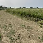 キャンプ場 Rv&tent *